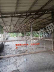 惠东县城560平米鸡棚带8亩果园地面出租