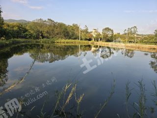 惠州8亩溪边农场带鱼塘棚长租20年