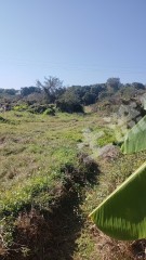 惠东县城周边25亩水田出租600元/亩