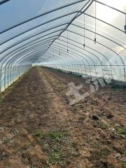 临沂兰陵县71个大棚经营权转让