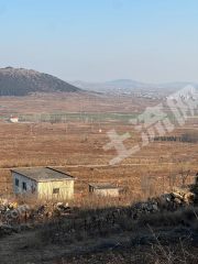 临沂兰陵县100亩荒山使用权出租