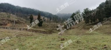 重庆北碚区 1000平方米 农村宅基地 使用权出租