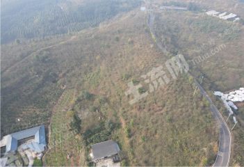 新津彭山交界处110亩荒山地出租