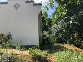 龙泉山森林公园 400余平米 优质农家小院 低价使用权出租