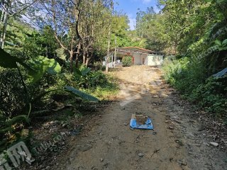 惠州市半山瀑布小院带鱼塘出租