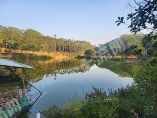 惠州惠城区15亩农场使用权出租