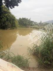 惠城区6亩鱼塘带房出租