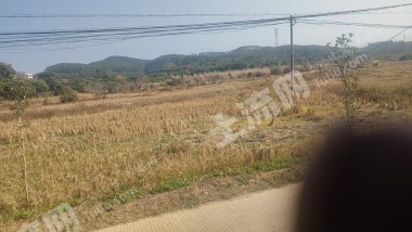 惠东县大岭镇100亩水田经营权出租