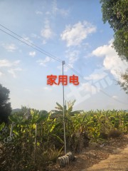 惠东县100亩水浇地经营权出租