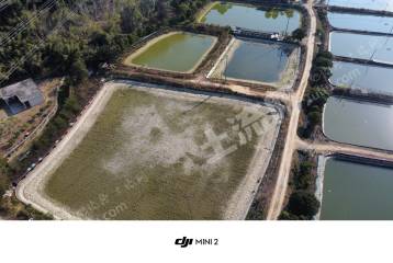 惠州惠城区30亩坑塘水面经营权出租