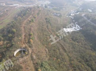 新津彭山交界处70亩林地出租