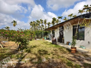 海南琼海市8亩其它林地经营权出租