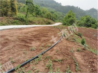 天府新区龙泉山山腰260亩大型农场转让