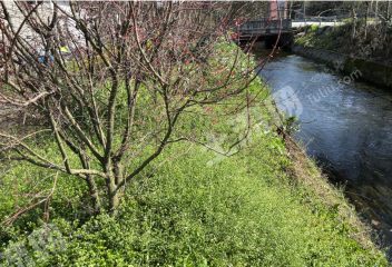 温江府通路旁400平花圃地带房屋出租