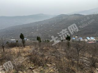 许昌禹州市400亩灌木林地经营权转让XX1940