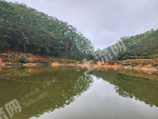 惠州惠城區(qū)20畝農(nóng)家庭院使用權出租