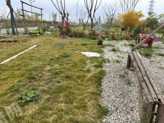 温江寿安绿道旁3亩小营地出租