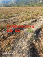 400元/亩！惠东县稔山镇40亩水田出租