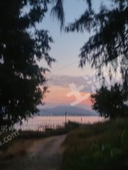 惠东县盐洲岛近海小院低价出租