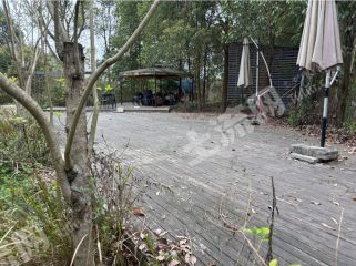 天府大道附近46亩经营性农场出租