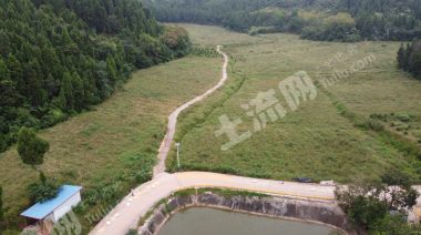 简阳杨家镇附近 50亩独立种植基地 低价转让