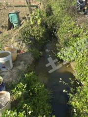 惠州惠城区30亩水浇地经营权出租