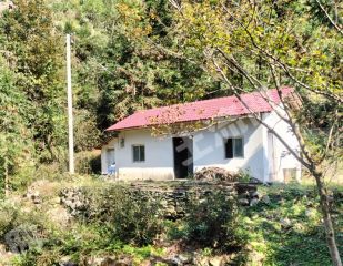 池州石台县50平方米农家庭院使用权转让