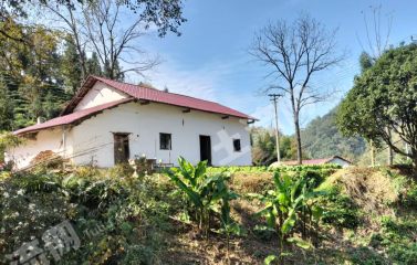 池州石台县110平方米农家庭院使用权转让