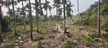 海南琼海市6亩其它园地经营权出租