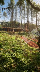 成都大邑山顶森林陋室｜适合修行隐居