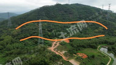 惠州近深30亩荒果园可养蜂5000一年