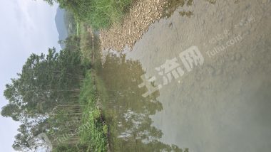 惠州40亩河边活水鱼塘带房空地经营权出租