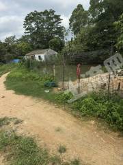 惠州周边独立7亩家庭农场带鱼塘出租