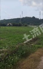 惠东县白花85亩耕地出租