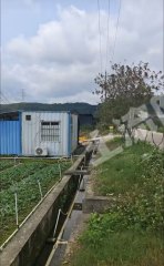 惠东白花220亩耕地出租