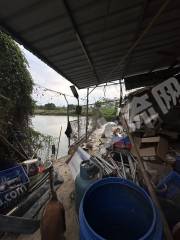 惠州周边4亩活水鱼塘带房出租