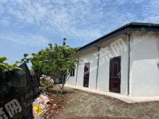 龙泉驿山顶 新建迷你小院 带土地果园 长期出租