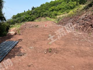 龙泉驿山顶 3亩平整土地 经营权出租（适合微型草坪营地）