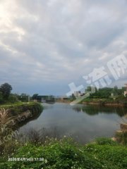 惠東縣城周邊10畝魚(yú)塘經(jīng)營(yíng)權(quán)出租