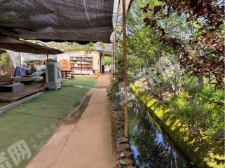 都江堰青城山15畝成熟農(nóng)場(chǎng)低價(jià)轉(zhuǎn)讓