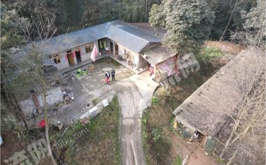 崇州怀远100亩林地出租