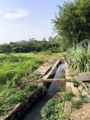 惠东县十里银滩30亩耕地出租