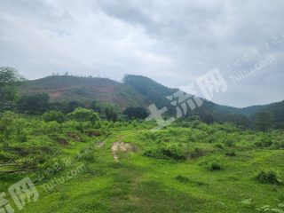 惠州罗阳30亩田地可种果树700一亩出租