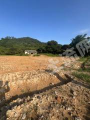 惠州惠近深新圩5亩耕地平整好出租