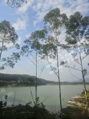 惠東縣江邊1畝空地經(jīng)營權(quán)出租