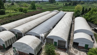 四川邛崃农业设施用地转让/出租