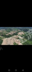 赣州于都县 4000亩 乔木林地 经营权出租