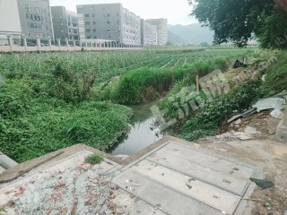惠州镇隆10亩水浇地经营权出租