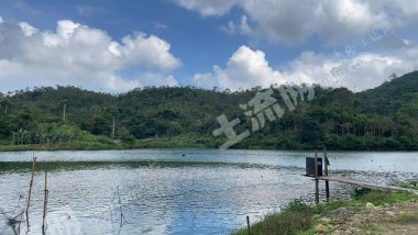 深汕合作区300亩矮山出租20年