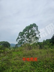 惠州惠东县7亩旱地经营权出租
